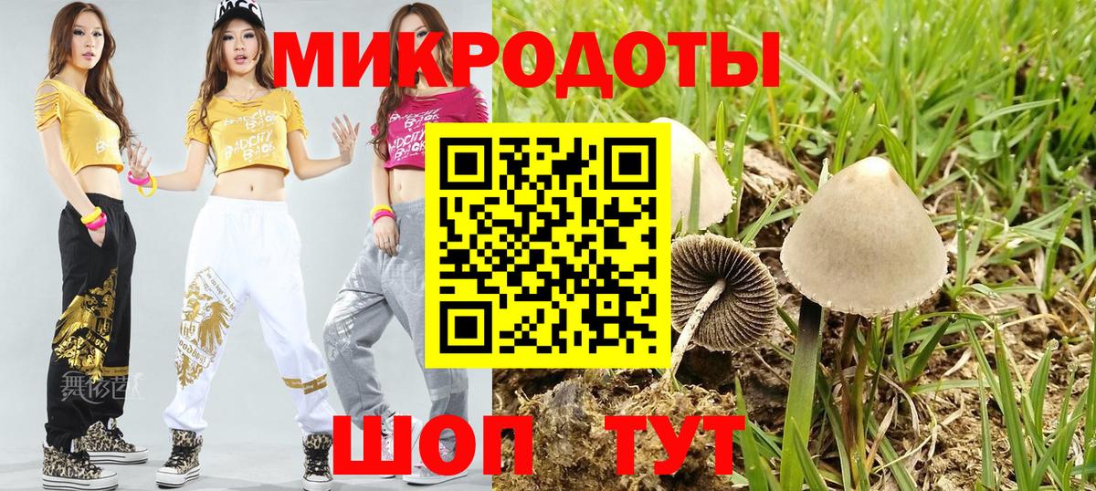 Галлюциногенные грибы прущие грибы Белебей