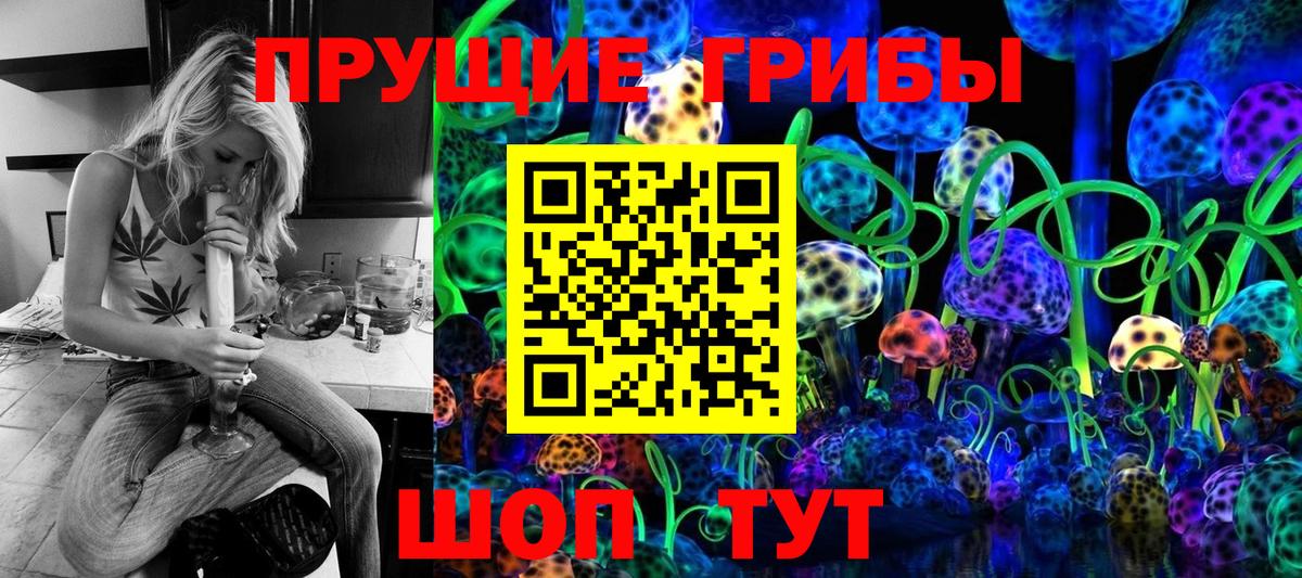 Белебей  Галлюциногенные грибы Psilocybine cubensis  Вход с VPN 